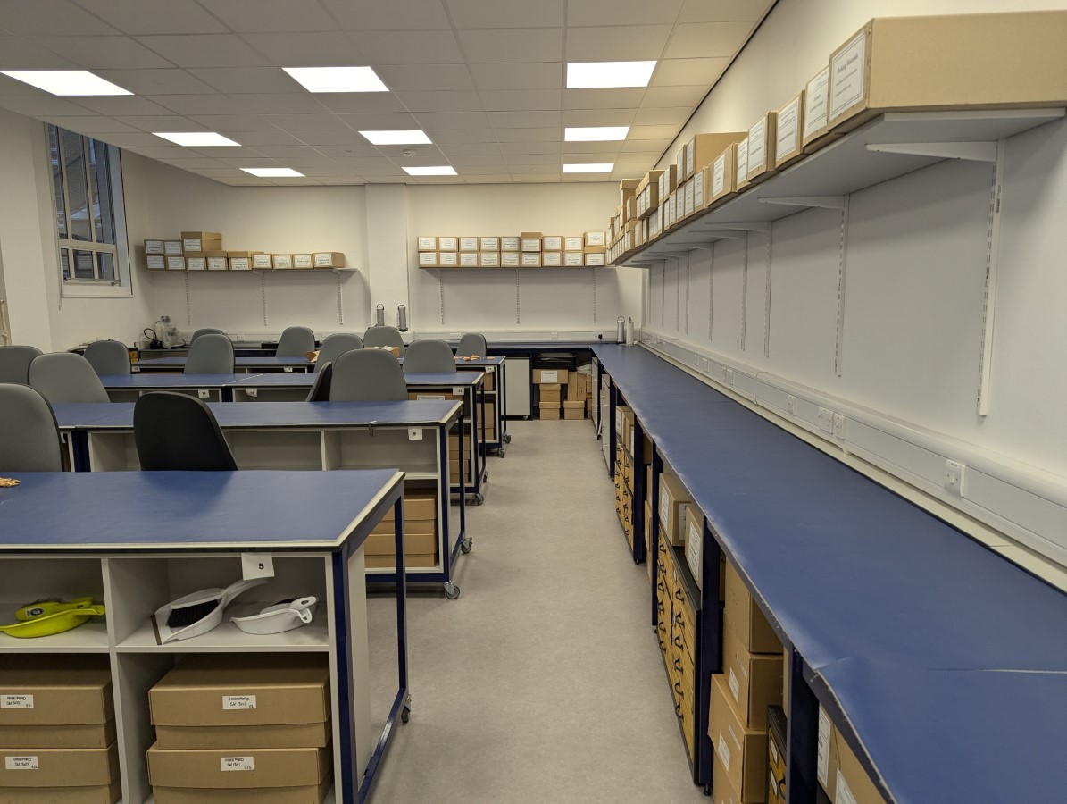 D133 - Fenwick Human Osteology Laboratory